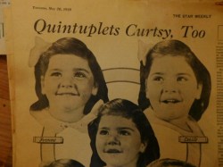 QUINTS CURTSY